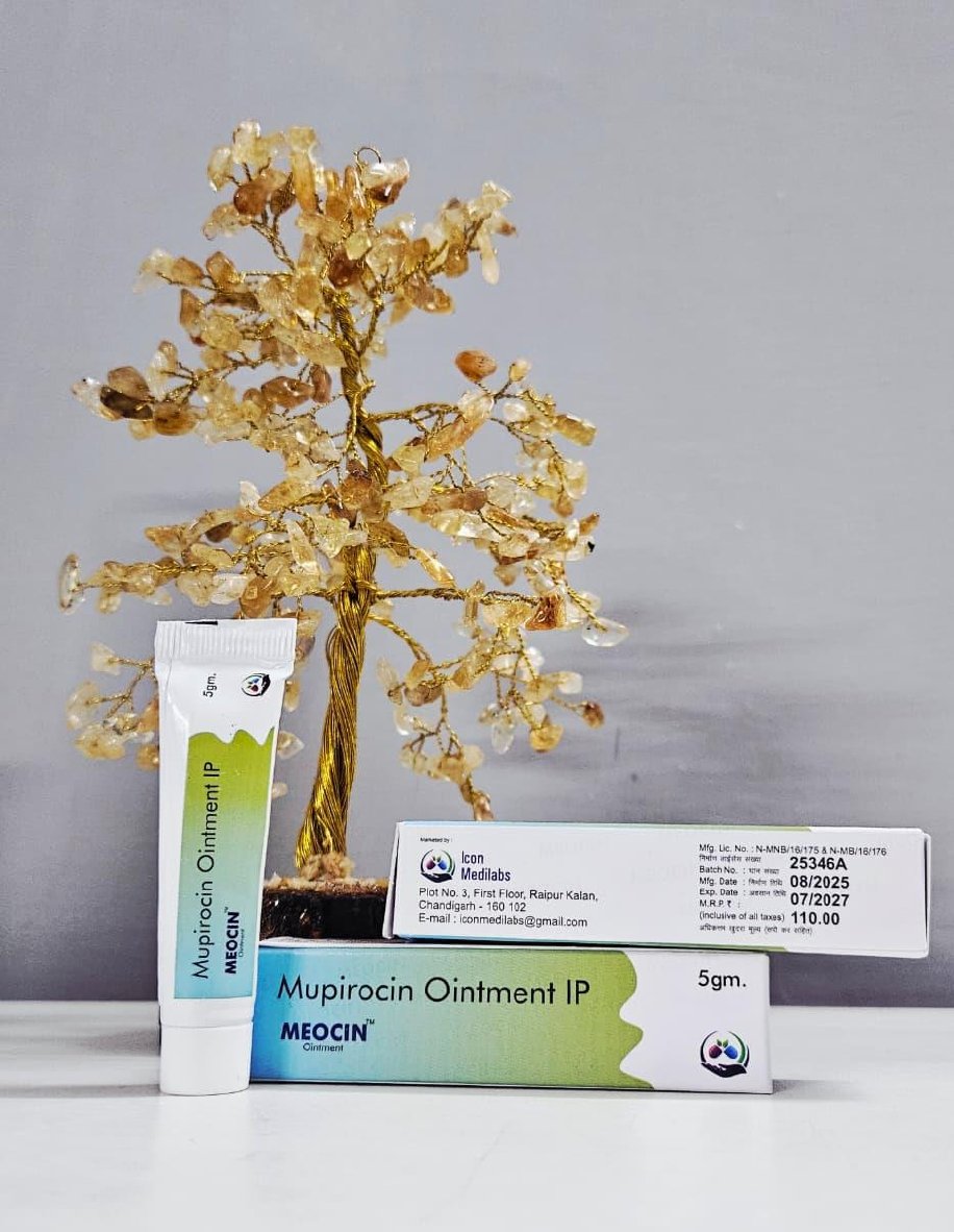 Meocin Ointment