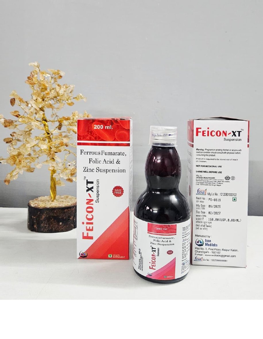 Feicon-XT Suspension