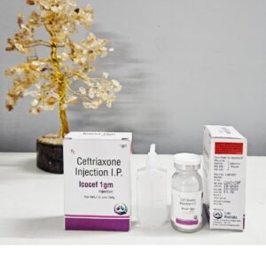 Icocef-1gm Injection