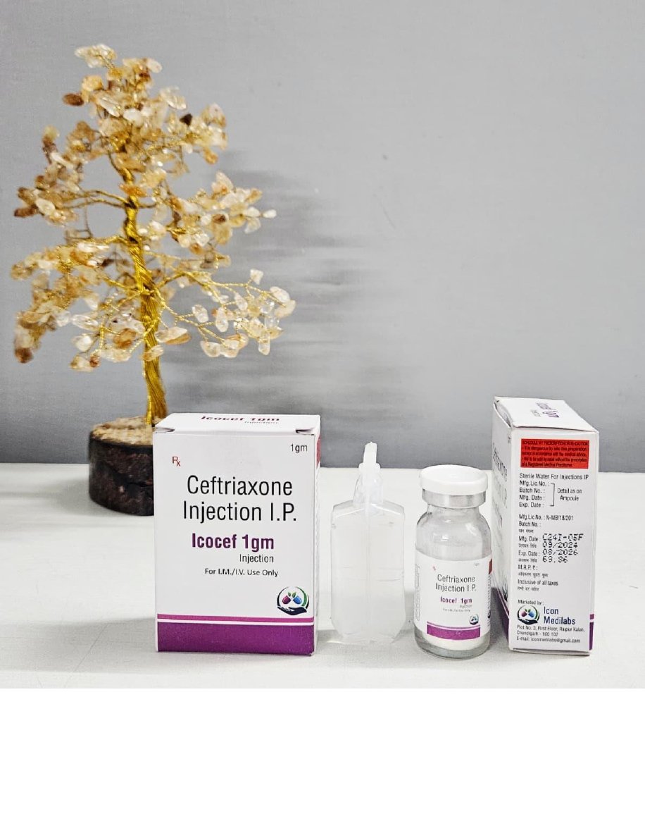 Icocef-1gm Injection